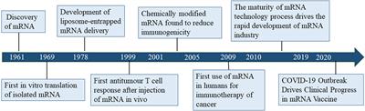 Frontiers | MRNA Vaccines: The Dawn Of A New Era Of Cancer Immunotherapy